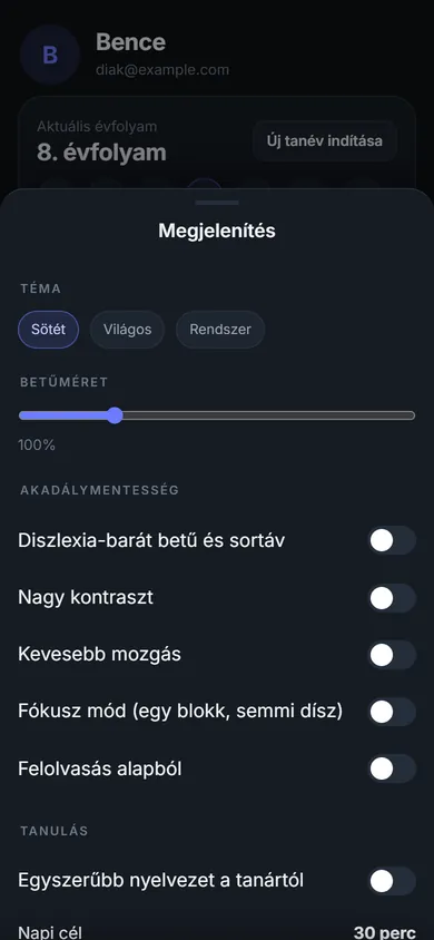 Megjelenítési beállítások: téma, betűméret, diszlexiabarát betű, nagy kontraszt, kevesebb mozgás, fókusz mód, felolvasás és egyszerűbb nyelvezet.